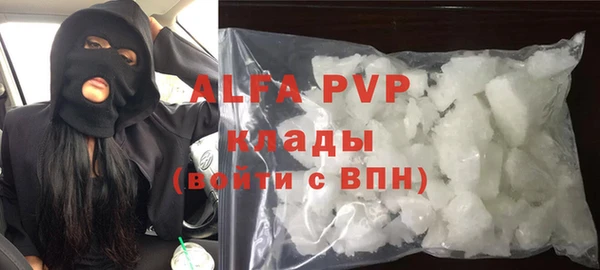 индика Абинск
