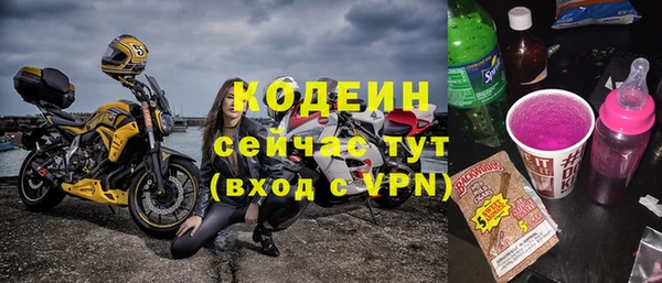 индика Абинск
