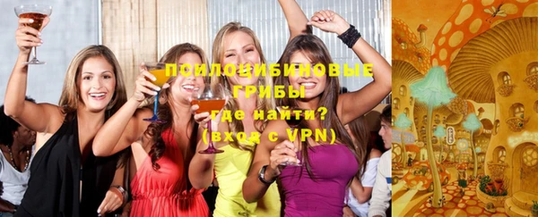индика Абинск