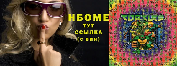 индика Абинск