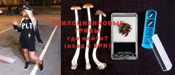 индика Абинск