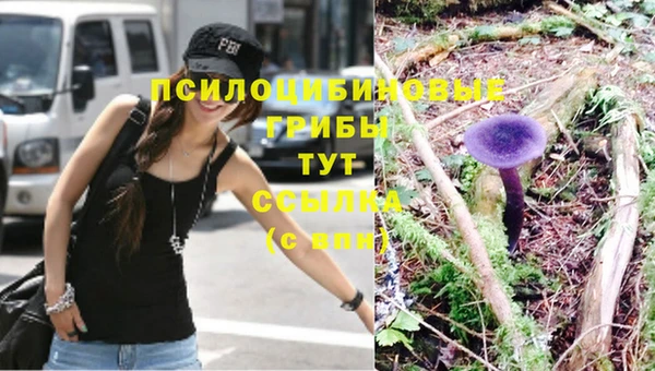 индика Абинск